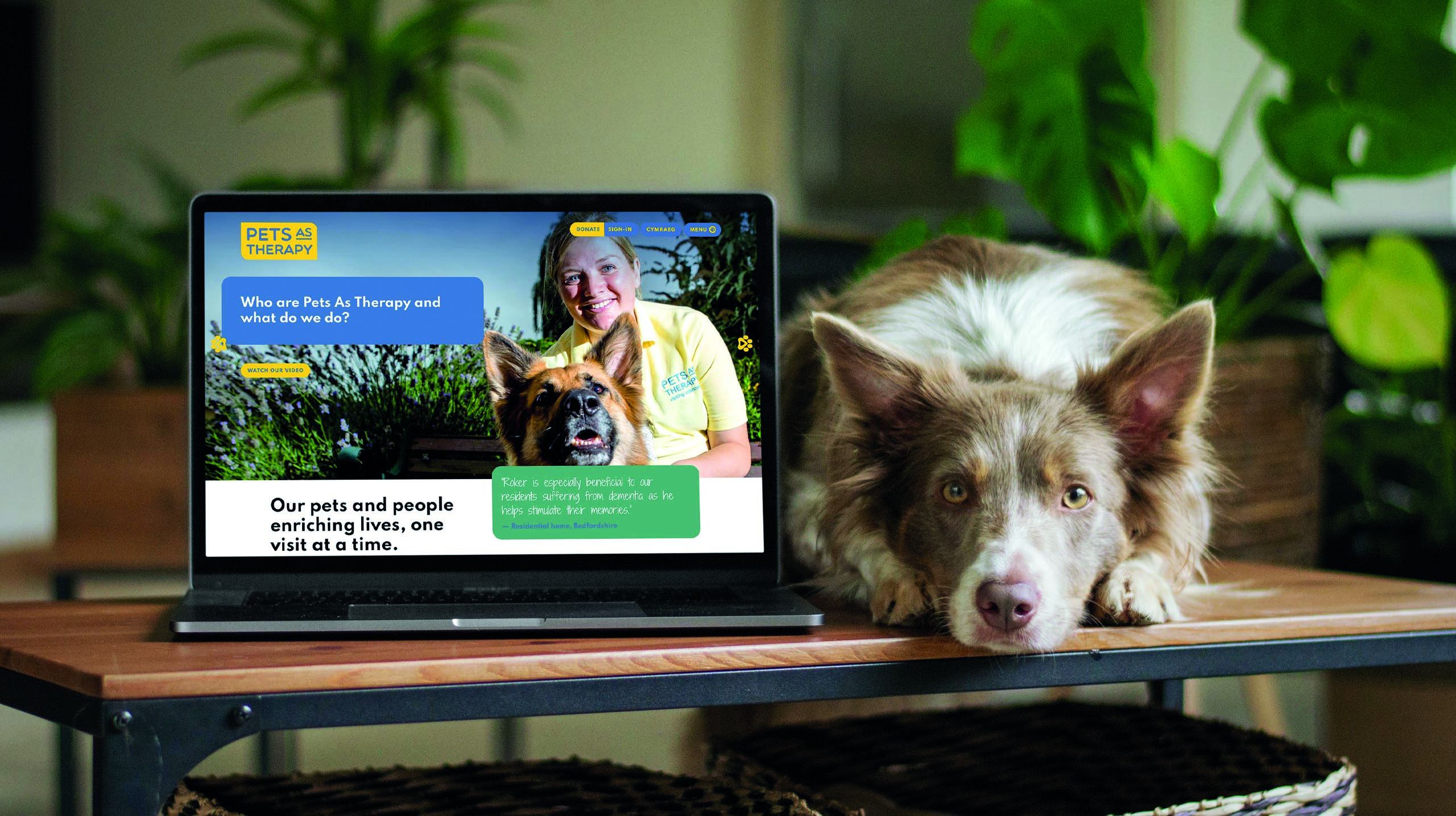 Pets As Therapy